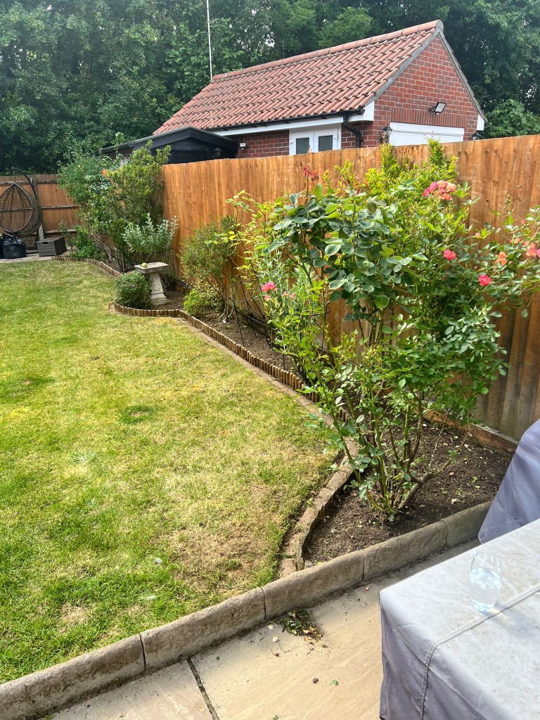 Freshly maintained lawn and planted border in a Little Dunmow Essex garden