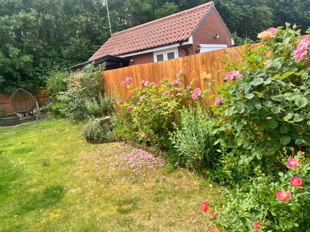 Lush, well-kept Essex garden border full of roses and summer planting
